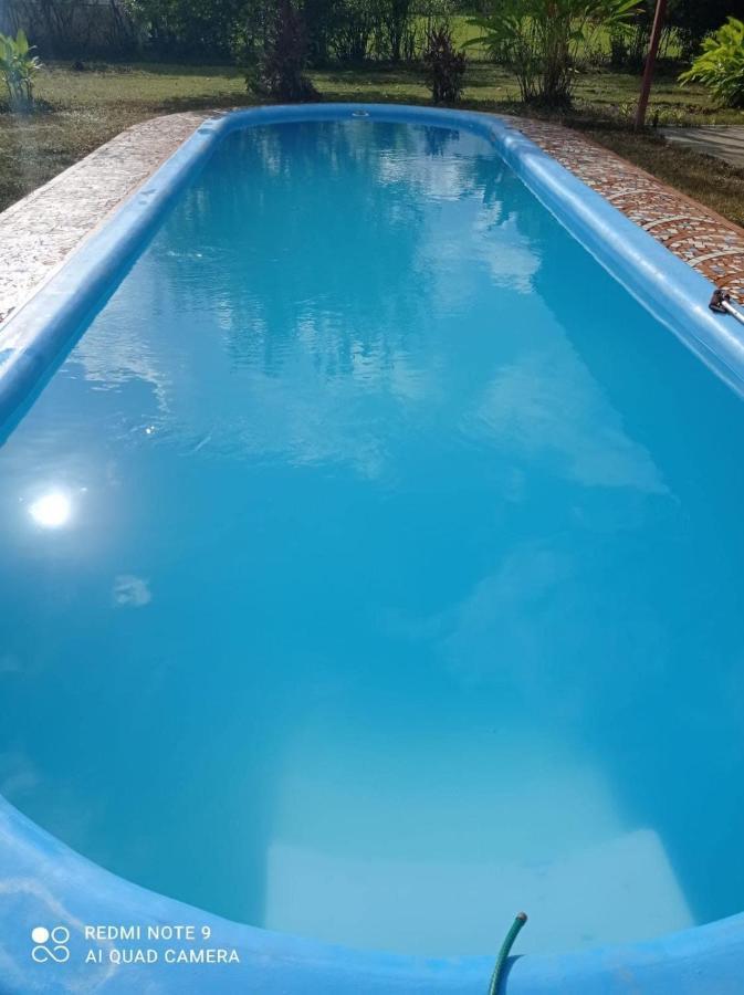 Hotel Cocodrilo Sierpe المظهر الخارجي الصورة