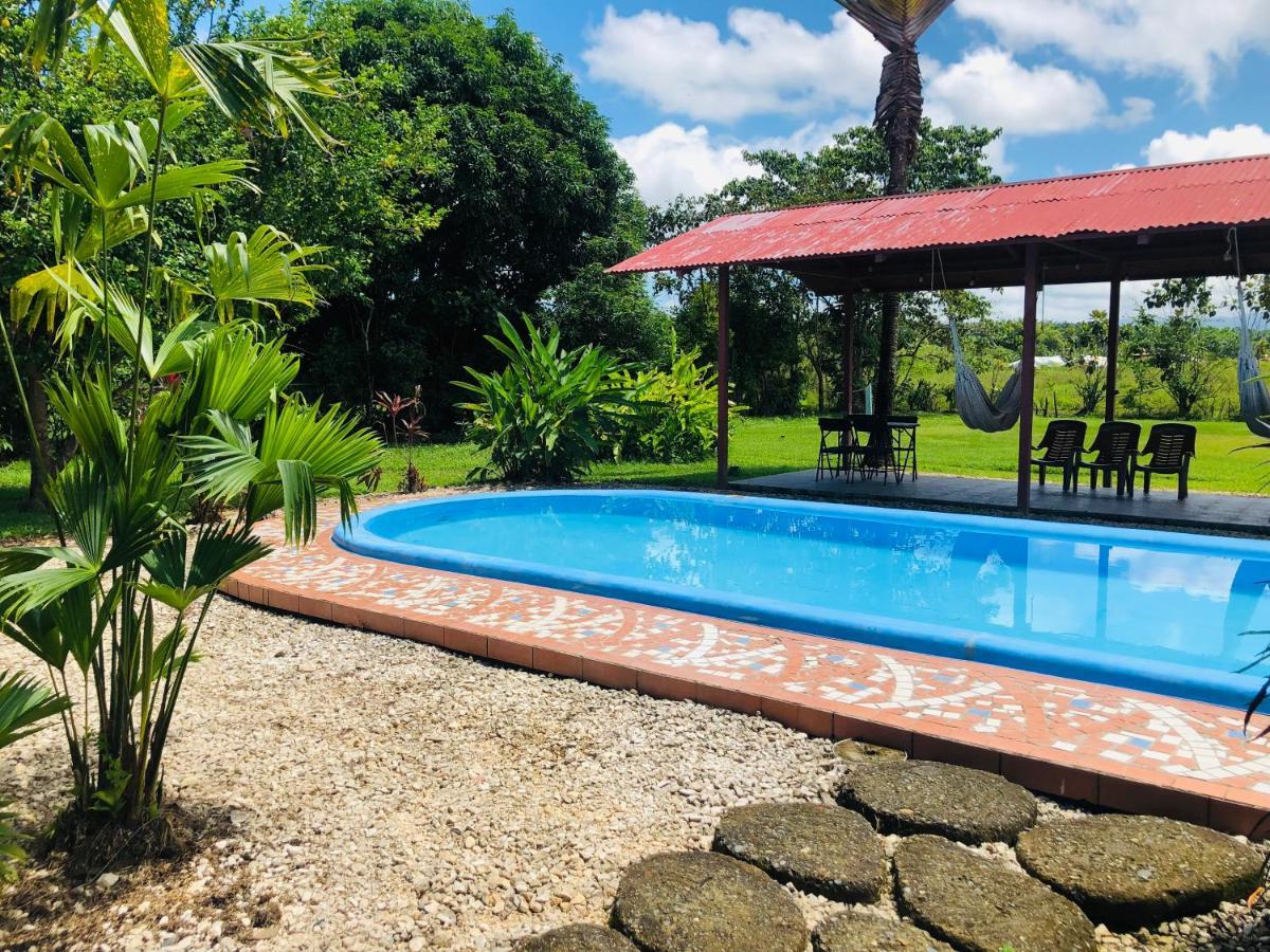 Hotel Cocodrilo Sierpe المظهر الخارجي الصورة